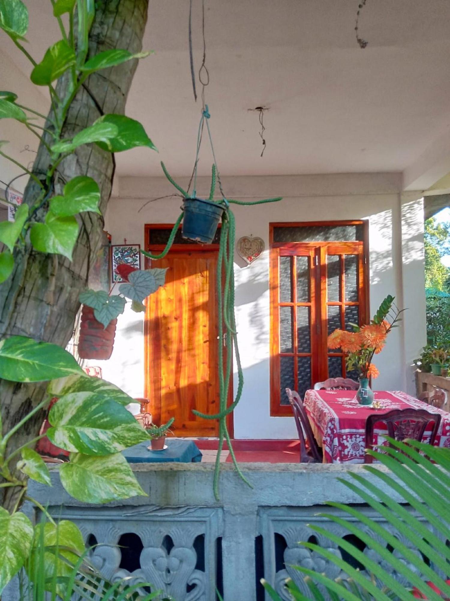 Nelum Séjour chez l'habitant