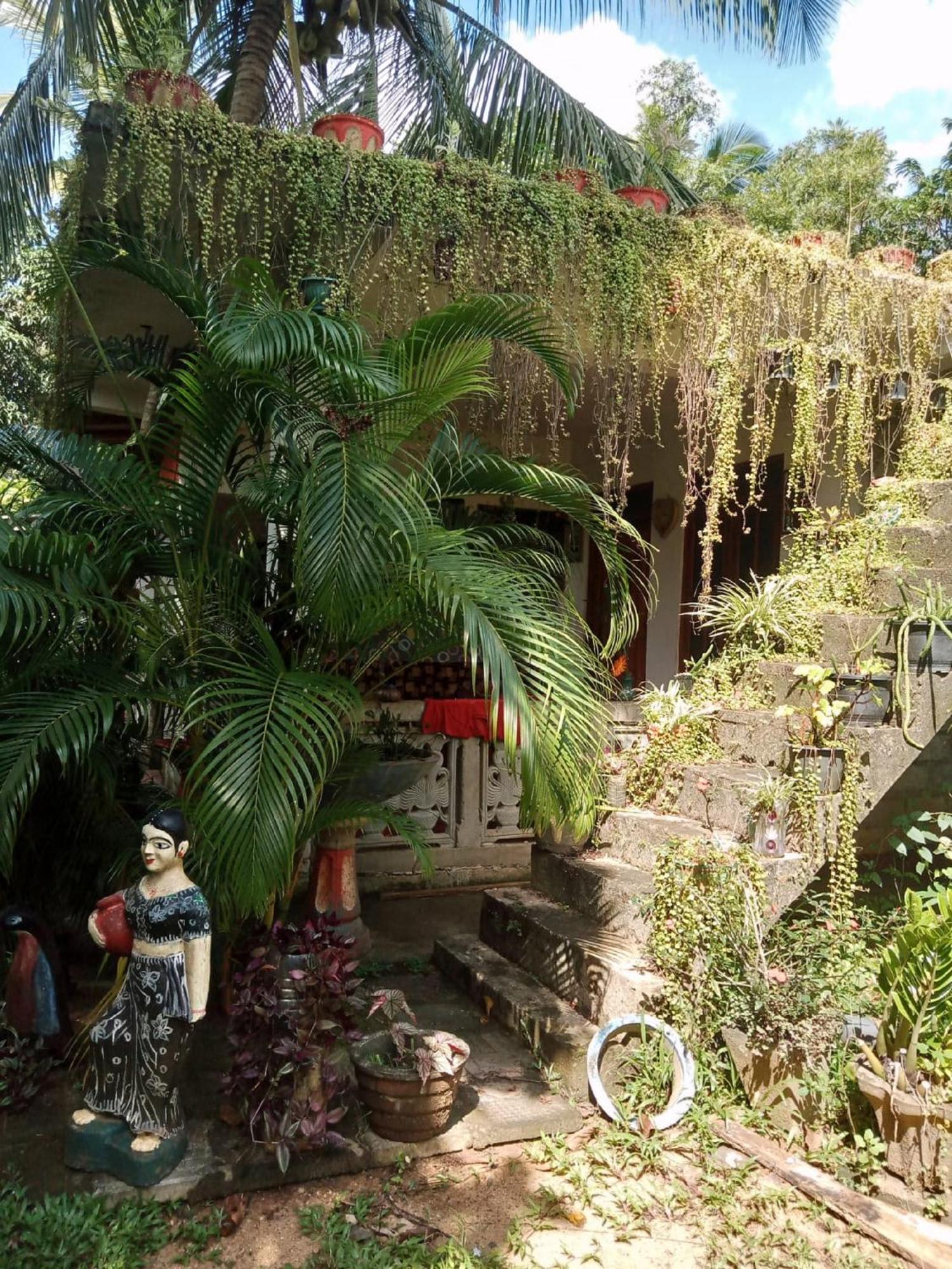 Séjour chez l'habitant Nelum